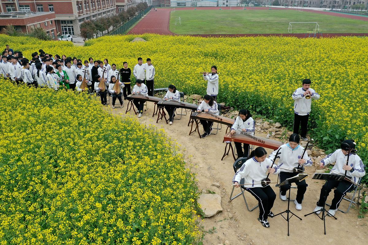 幻阙歌：融合古典与电子的古风音乐作品