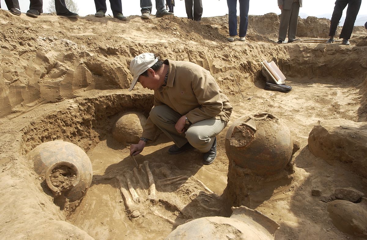 学考古学后悔死了？为什么千万别学考古学专业？