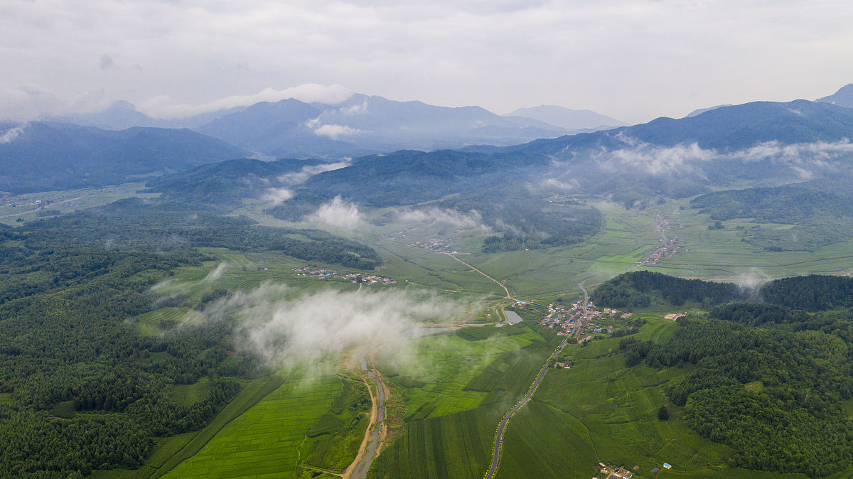 2021年7月31日,吉林白城,旺起镇.