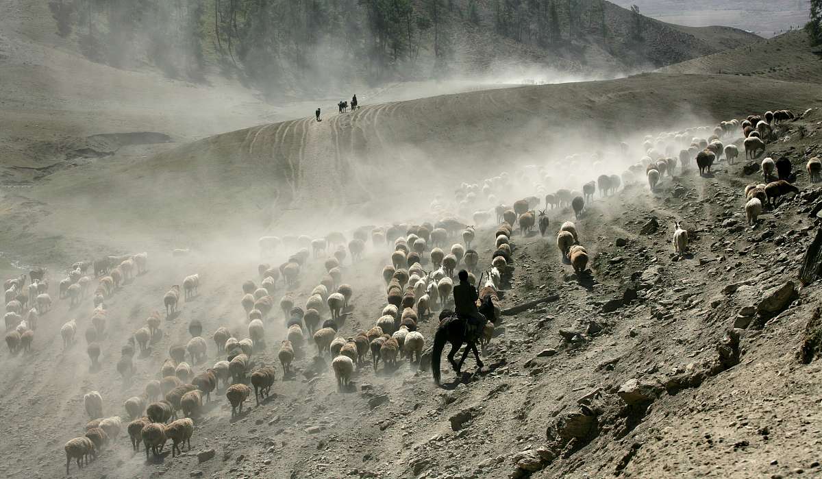 长津湖电影观后感900字从观众视角