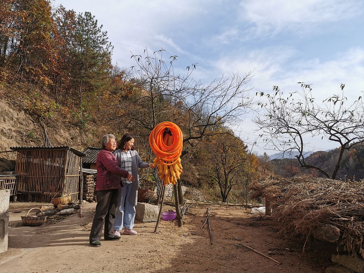 有缘无分的意思是什么