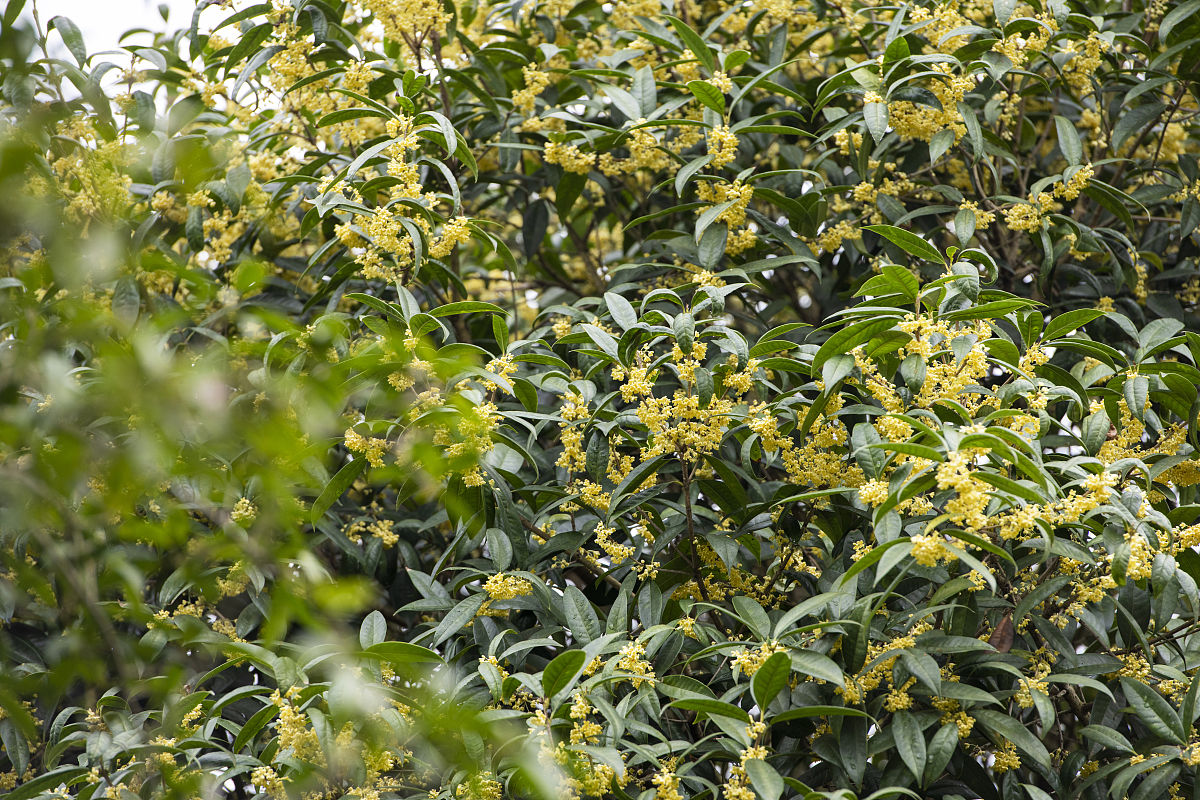 南充卫校哪家强？2023年南充卫校排名及选择指南