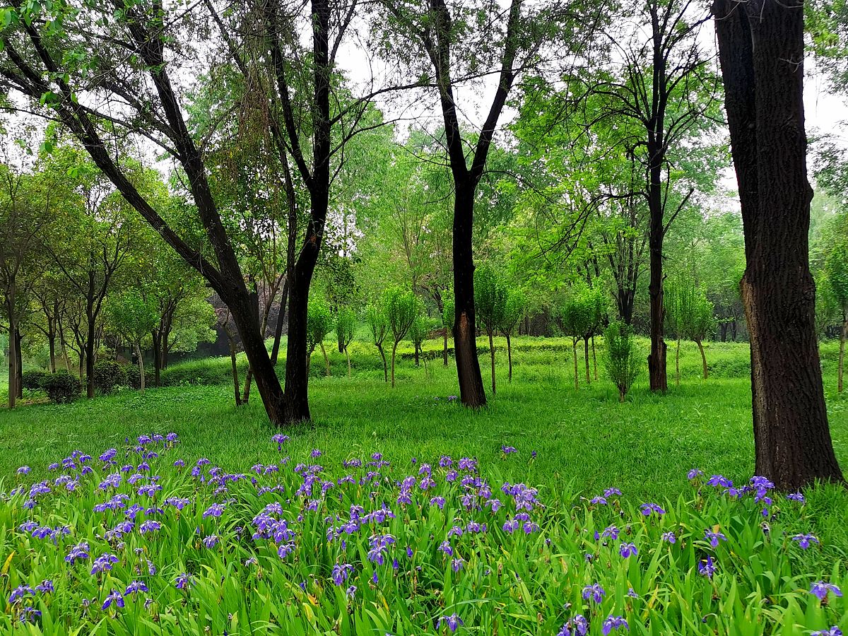 宝鸡2023年读铁路学校好不好