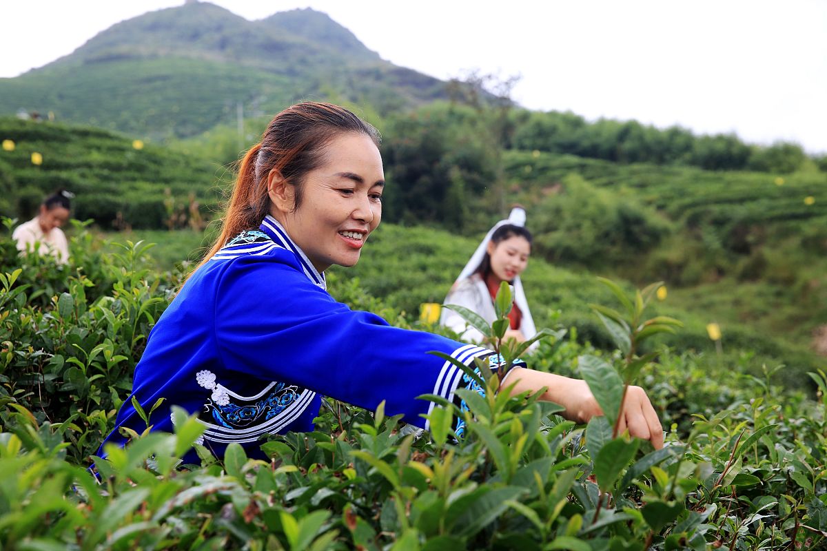 都匀工商管理学校2021年招生简章