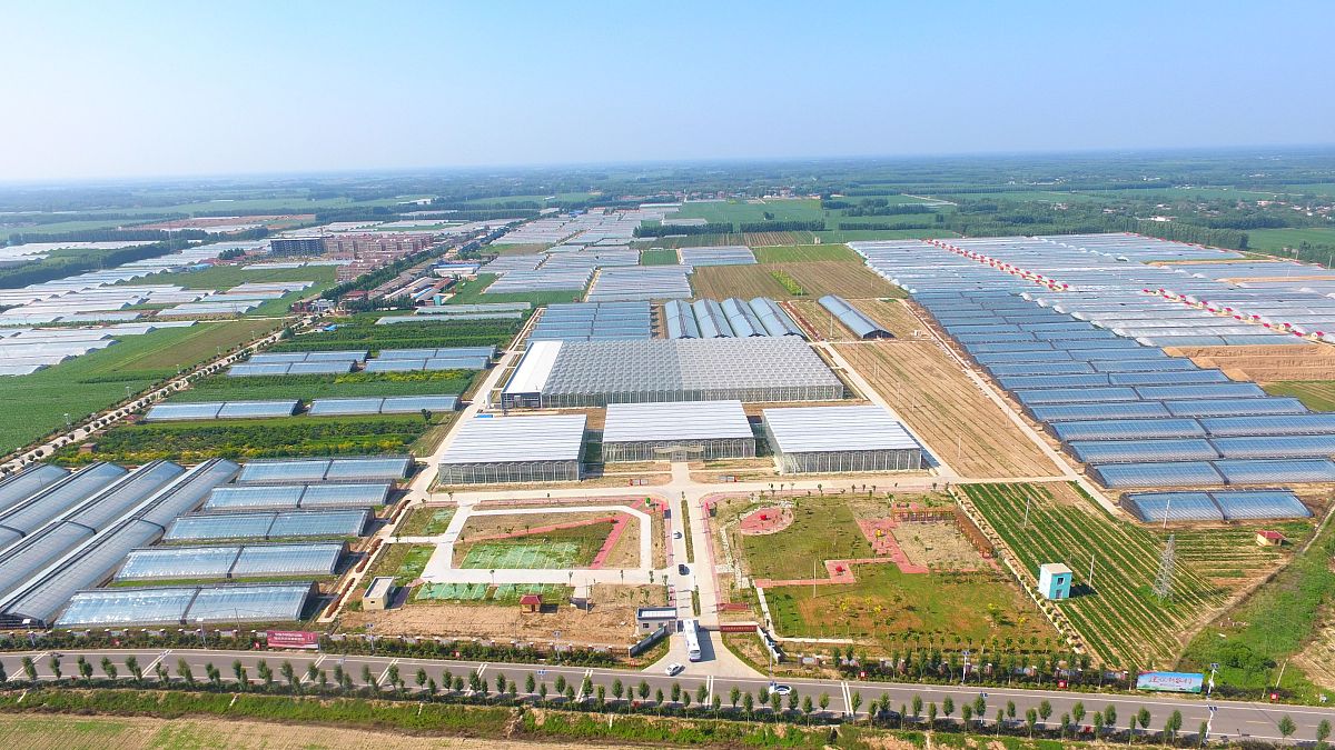 大孙各庄镇智慧物流+都市农业产业规划：打造城乡共生互促新格局