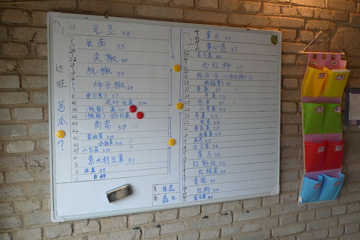 2013年6月6日,北京,会员制家庭蔬菜宅配悄然兴起.科学管理
