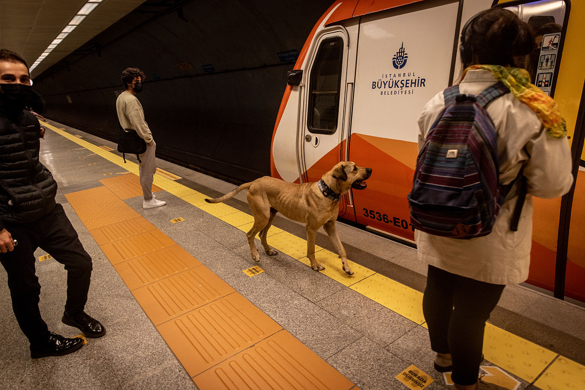 广州财经职业学校地址-交通指南