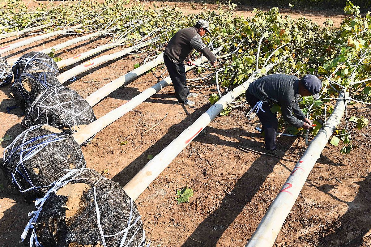 老龄输油管道维保管理问题及对策探究