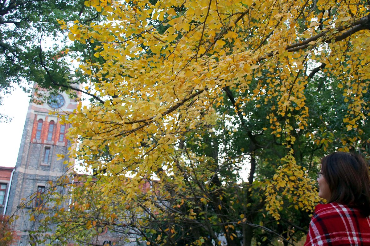 2022年苏州城市学院招生简章 - 报名时间、专业、计划及政策