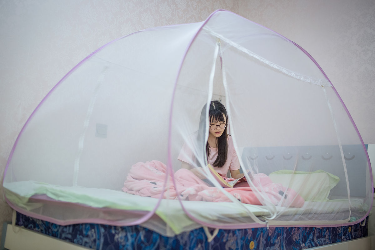 高考451分能上什么大学