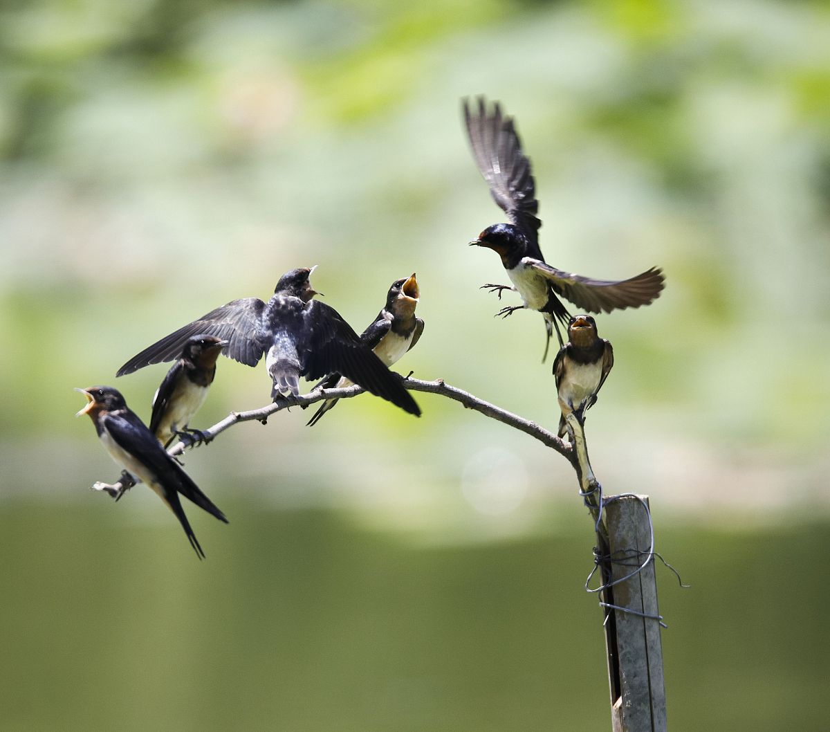 请对论文章节 31 陕西利沣达建筑科技公司简介进行写作保证其内容合理性不要乱写：