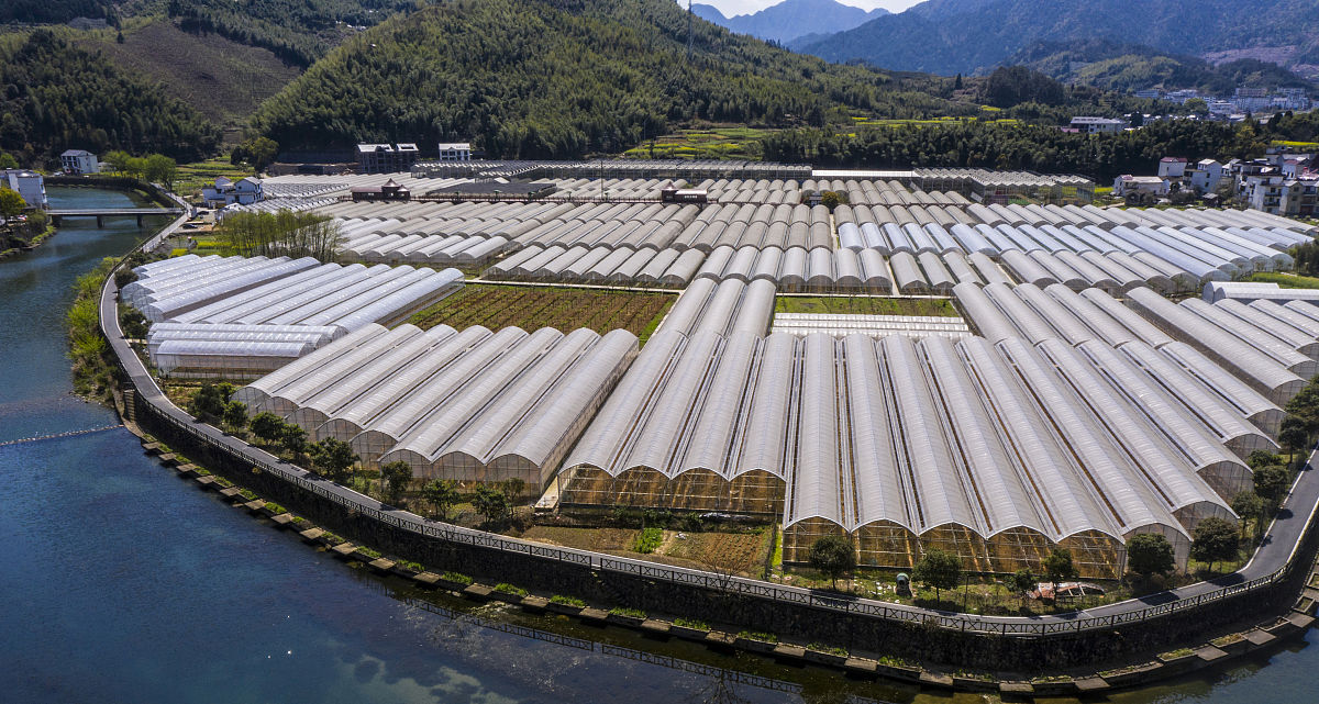 农业科技小院科普图书项目：提升农民科学素养，推动农业发展