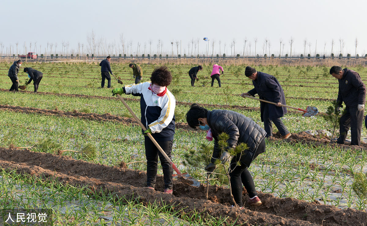 博野职教中心种植技术专业怎么样