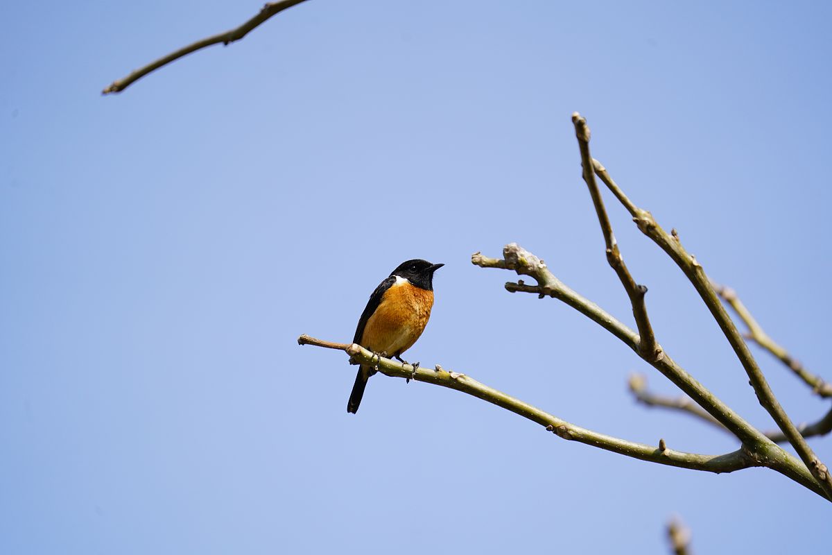 云南护校推荐：2021年最佳选择指南