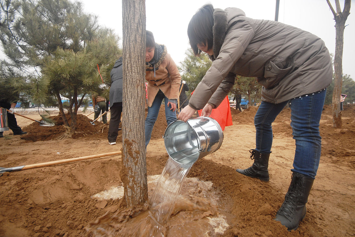 最后未设置环境成本会计科目。目前煤炭企业没有将环境成本纳入会计核算中导致上述情况最直接的原因是我国会计准则并未规定计量环境成本的要求但是由于政府及法规要求煤炭企业对社会造成的影响仍需履行义务因此企业在设置会计科目时通常是根据企业需要和核算方便来设置会计科目从而导致煤炭企业会计科目设置迥异。以下是当前煤炭上市企业环境成本科目设置情况：当前环境成本主要体现在管理费用中但各企业账务处理方式却不尽相同某些