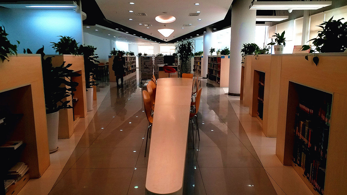 文献综述怎么理解