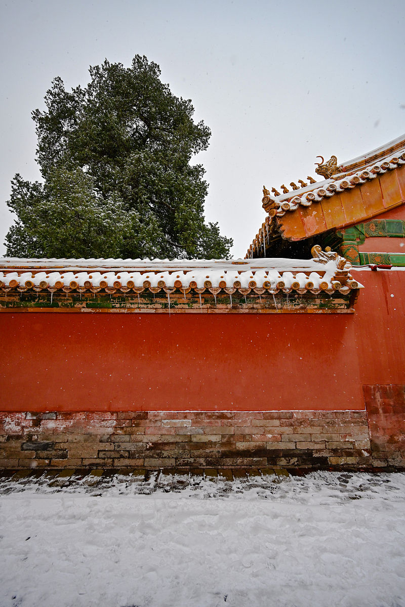 横山区职教中心2021招生简章