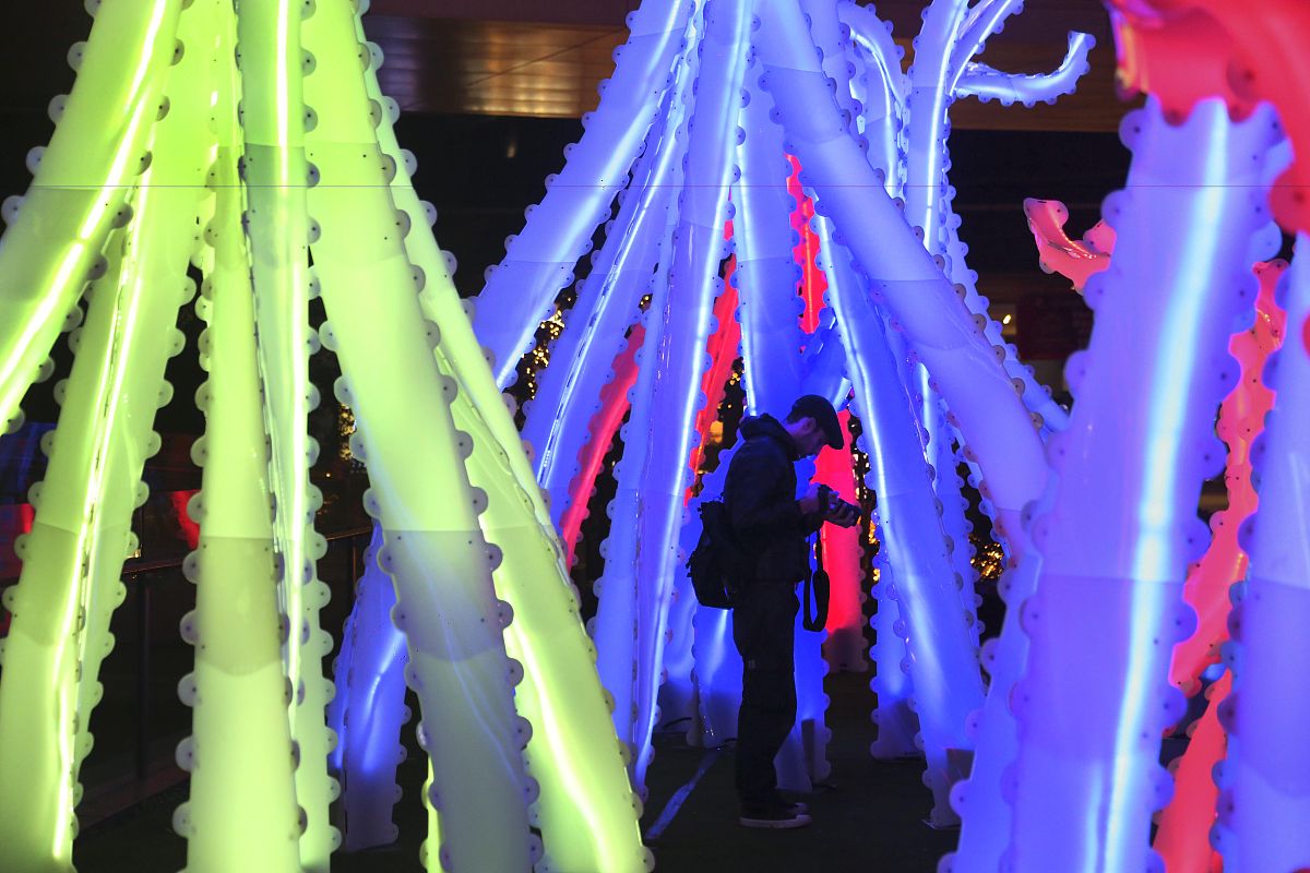 论述仿生学与仿生设计学的联系和区别请举例说明