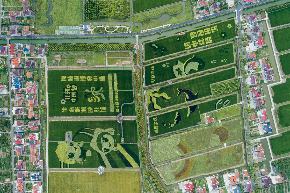 天津艺术设计学校2022年招生简章 - 报考指南及专业解读