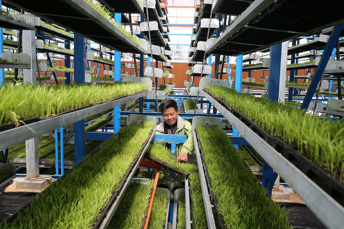 江西科技中等专业学校2021年招生专业有哪些