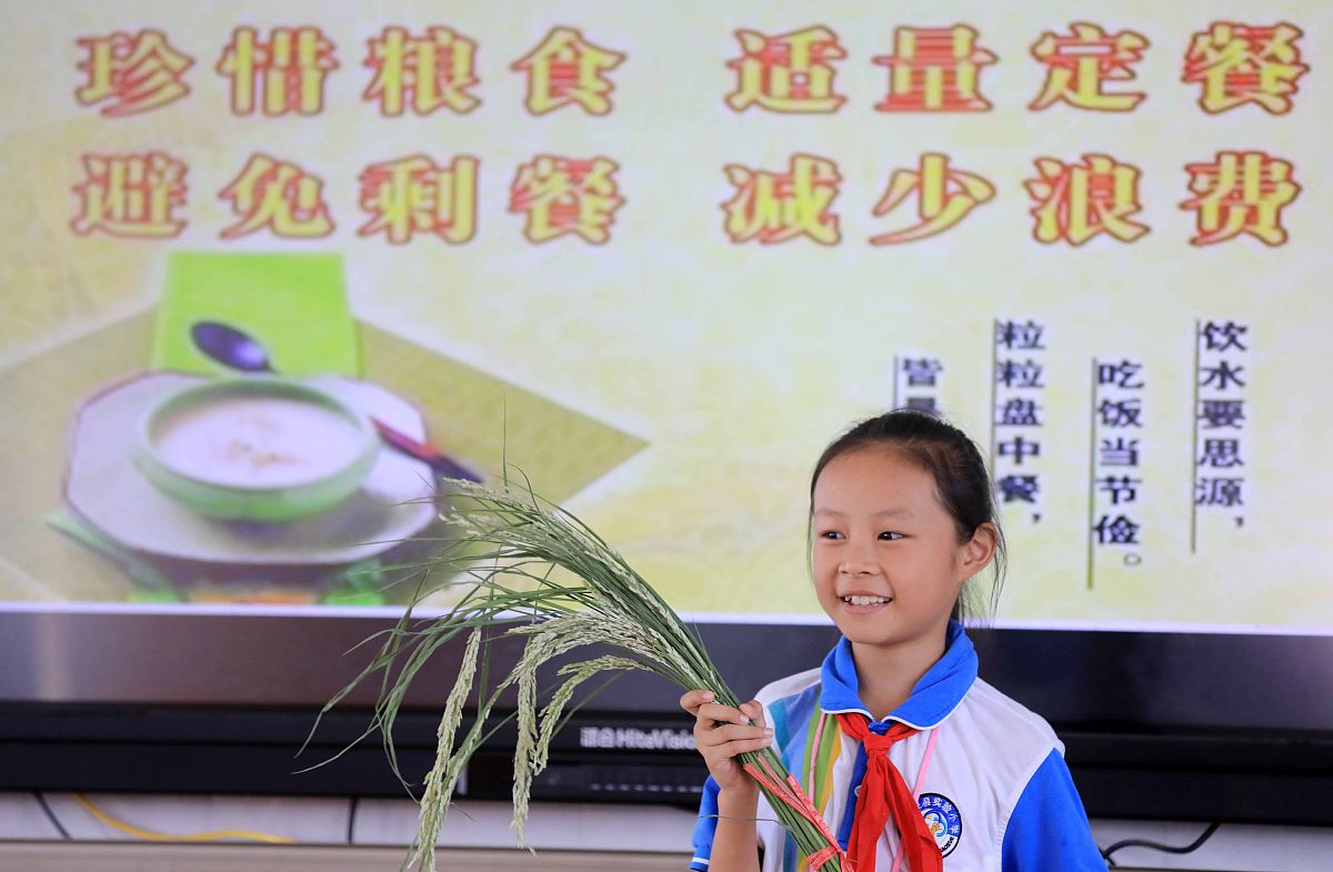 爱粮节粮主题班会策划方案：详细议程与活动安排