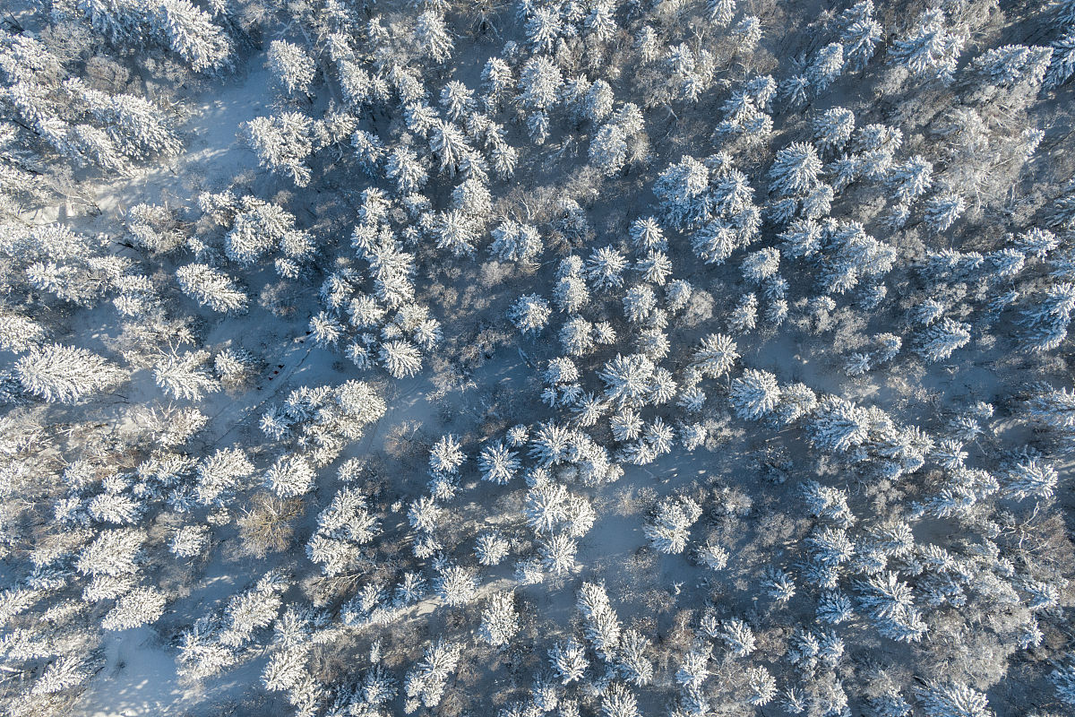 2020年1月12日,吉林延边,航拍老里克湖林海雪原.