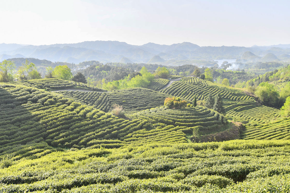 贵州贵阳市商贸学校2022年招生简章 - 优质商贸教育，成就未来梦想