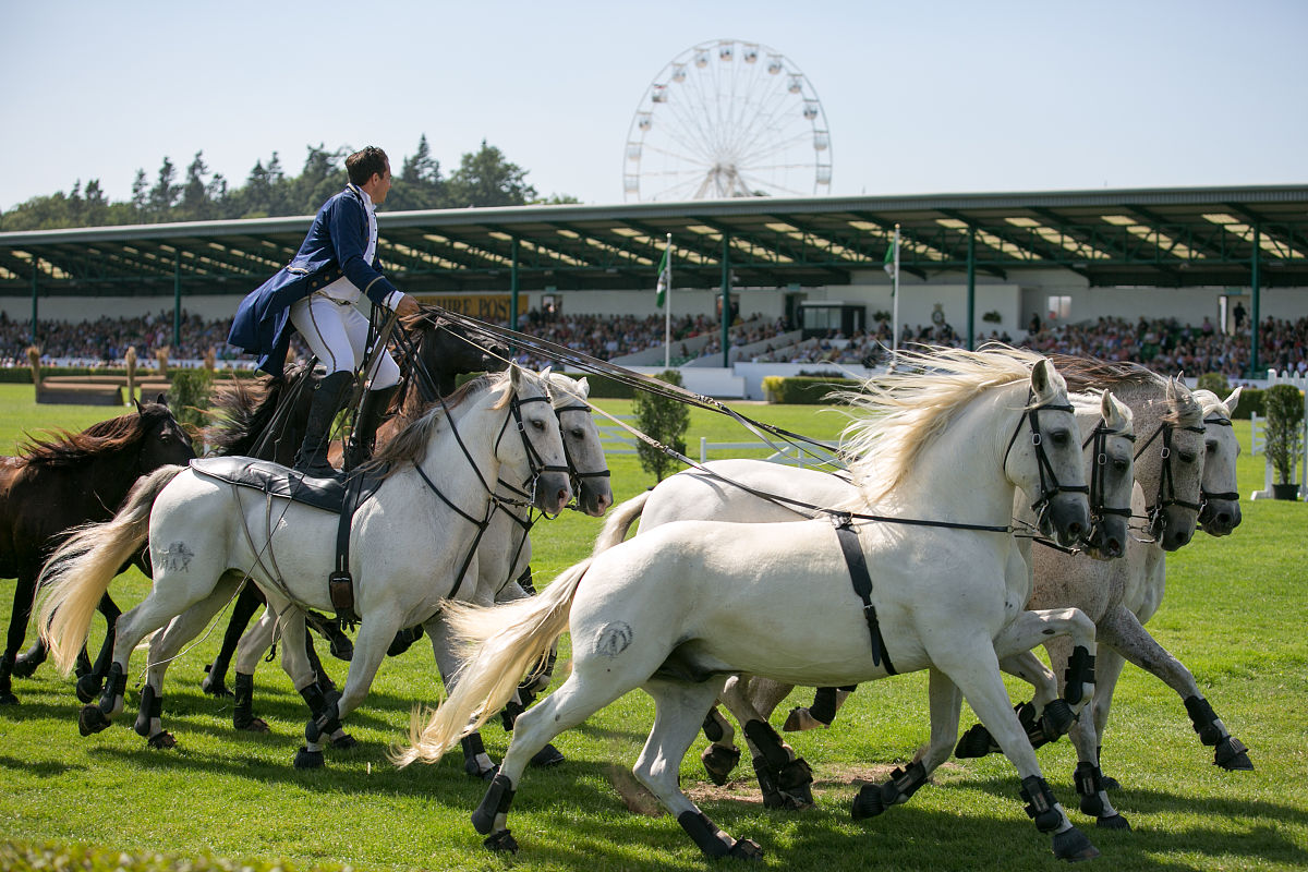 信阳师范学院美术学专业如何