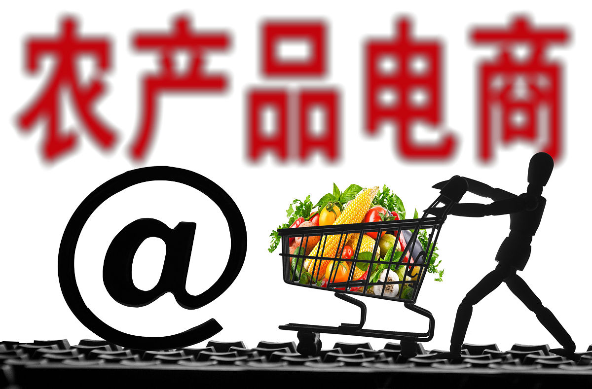 修改王超等2017以江苏省宿豫区农村电商发展中的一个典型区域作为研究对象分析了一村一品一店的电商模式及其存在的问题同时给出一定的建议