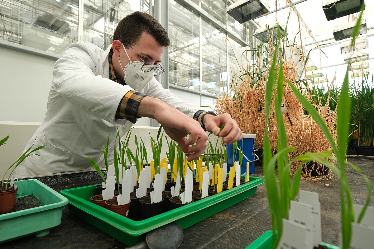 用实验证实DNA半保留复制的学者是