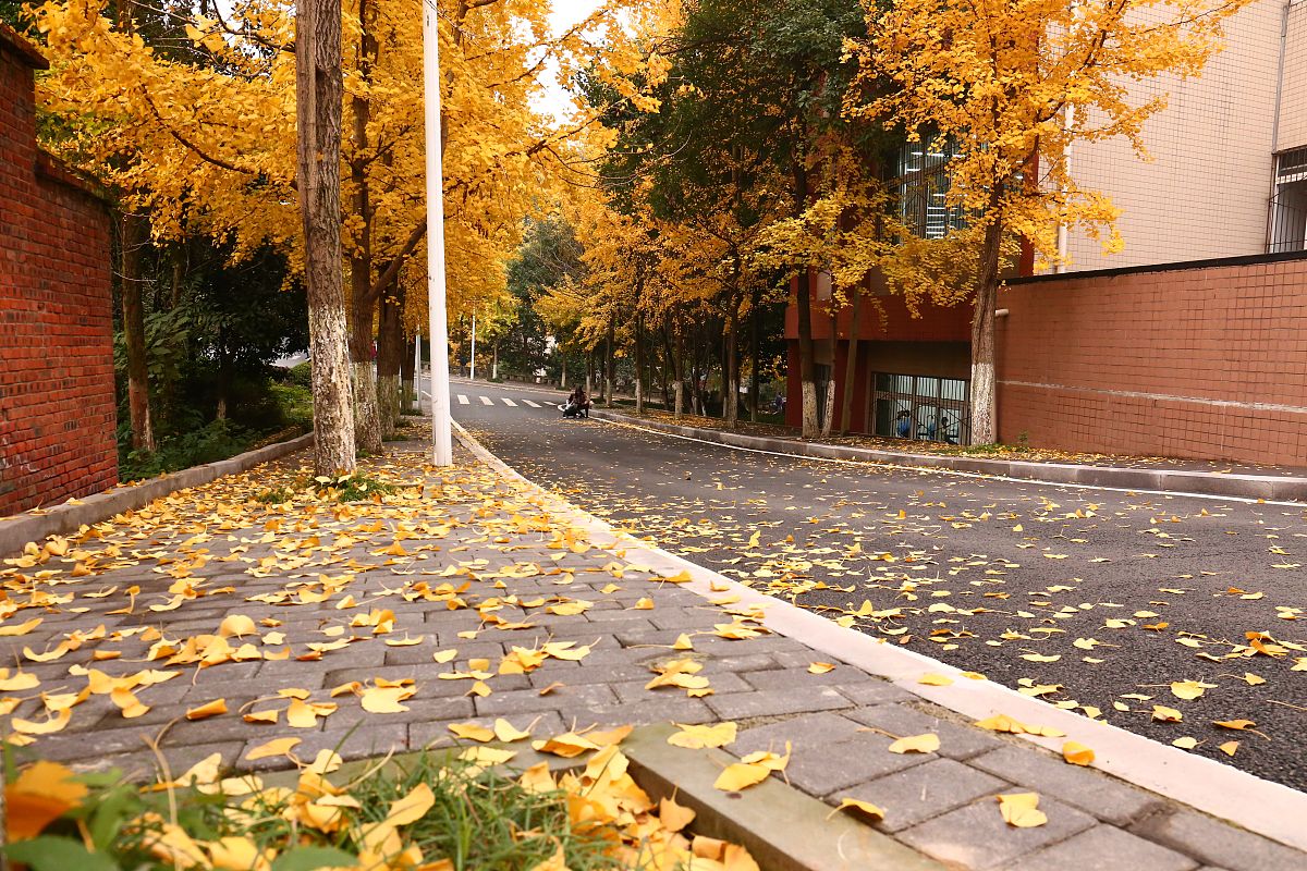 重庆工商学校给排水工程施工与应用专业好就业吗