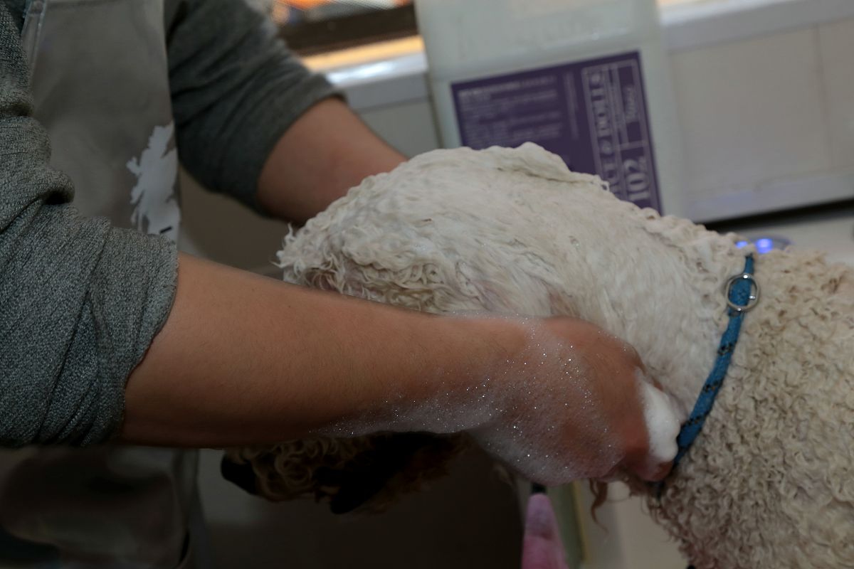 在甘肃读老年人服务与管理专业可以去哪些学校