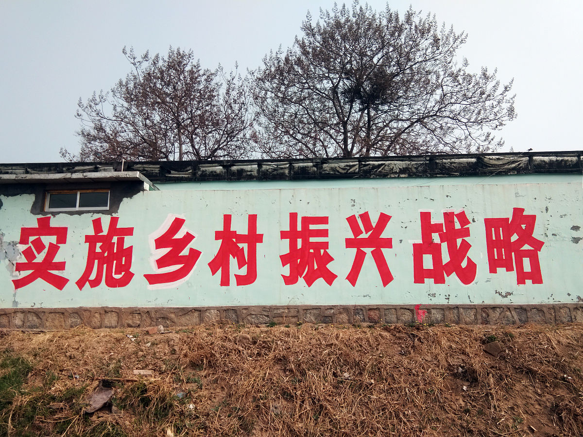 党史教育助力乡村振兴：作用、应用与发展建议