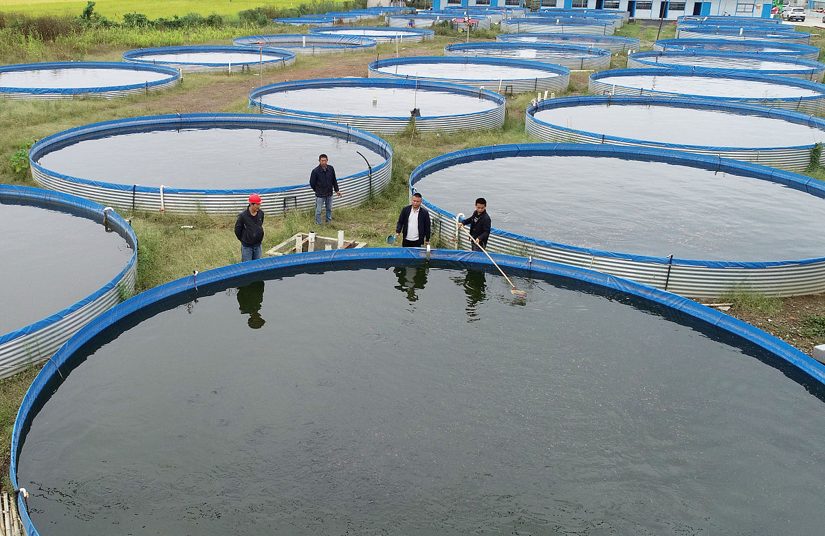 河鱼养殖技巧与注意事项