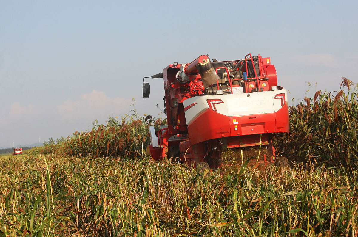 黑龙江农垦机械化学校畜禽生产与疾病防治专业介绍 - 培养畜禽产业人才