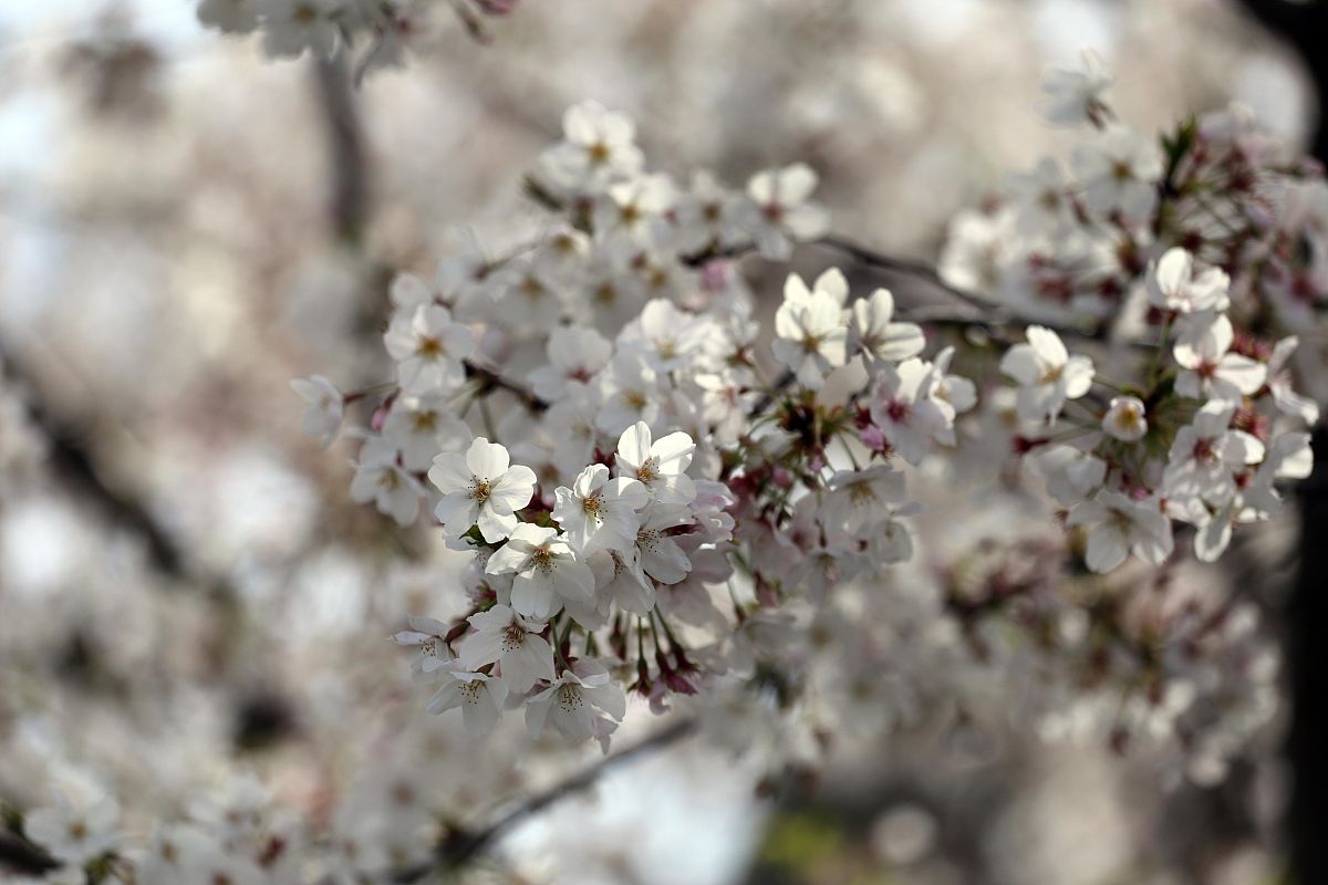 贵州五年制大专学校热门专业