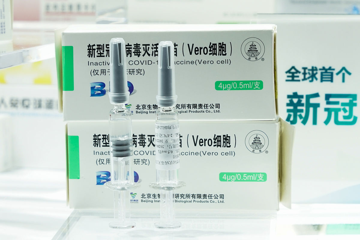 国产猫鼻气管炎疫苗研制迫在眉睫：现状、挑战与机遇