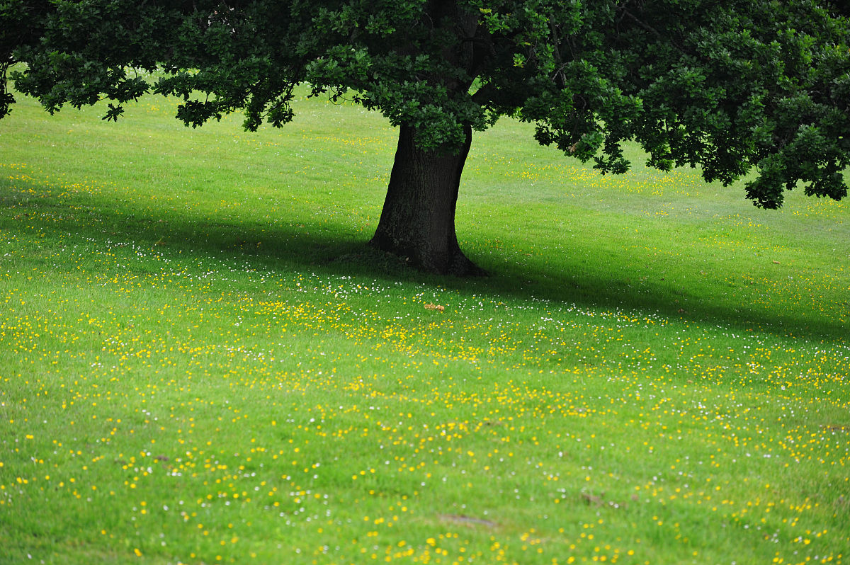 初中地理教学案例：跨学科视域下的城市发展与历史演变
