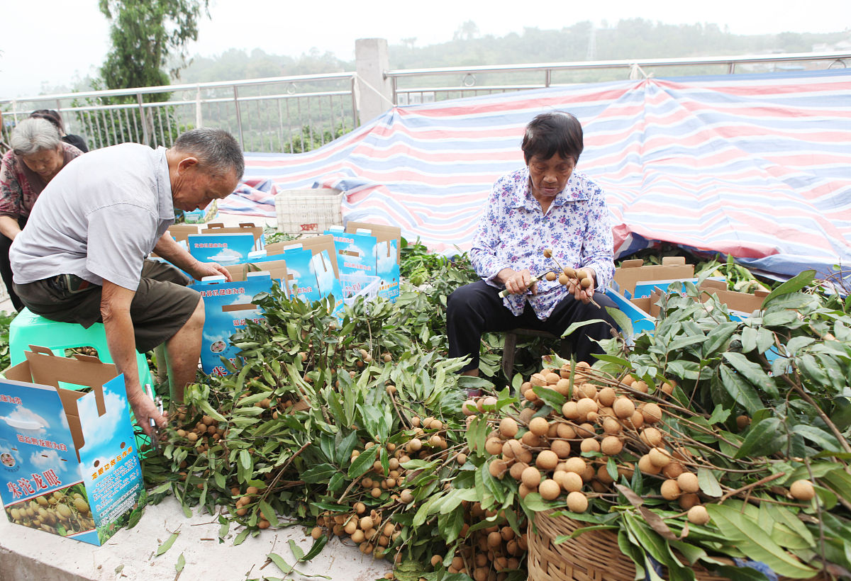 浙江中医药大学中草药栽培与鉴定专业招生哟球怎么样？