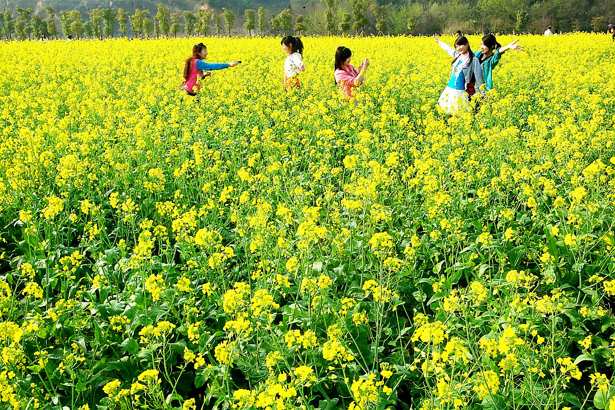 浙江中医药大学中草药栽培与鉴定专业招生方案详解