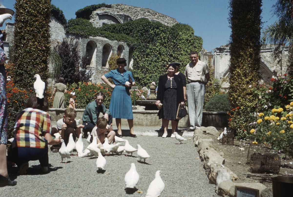 1966年捷克斯洛伐克电影《雏菊》：新浪潮的自由与反叛