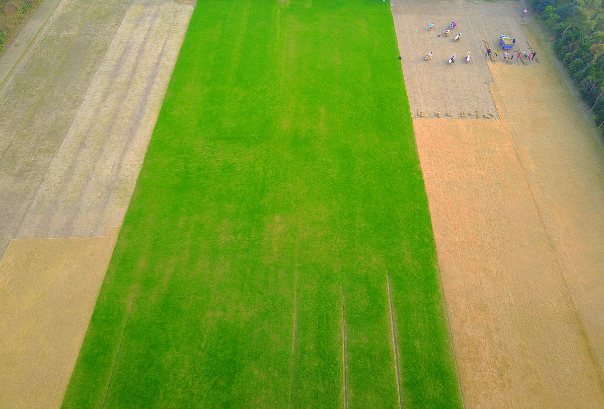 在雪前完成 670 平方米草坪铺设