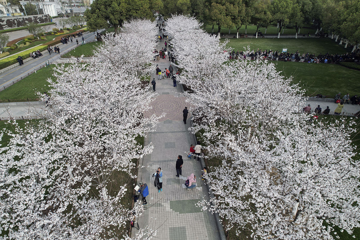 合肥2022年中专学校读几年