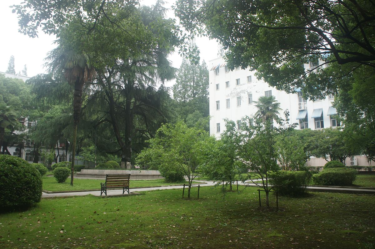 四川大学锦城师范学院官网地址 - 了解学院最新信息和服务