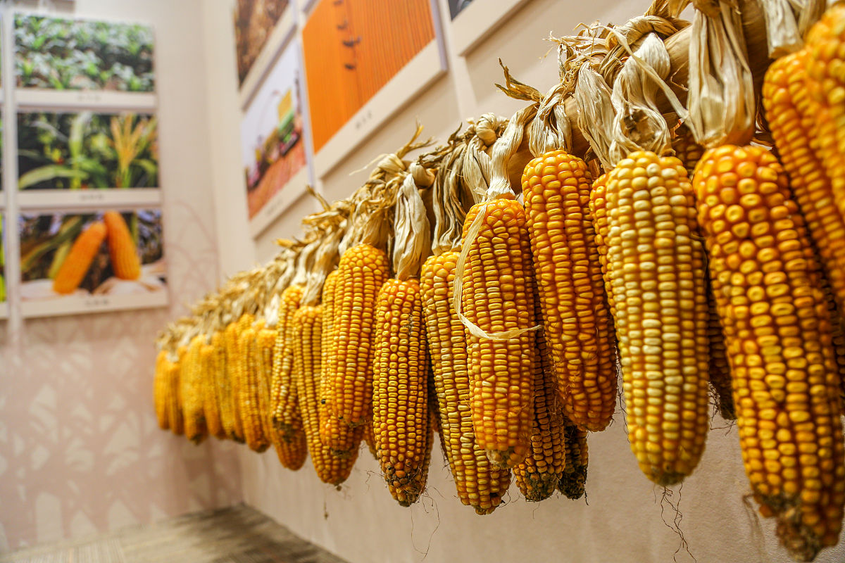 全民国家安全教育日学习心得：维护国家安全，共筑美好未来