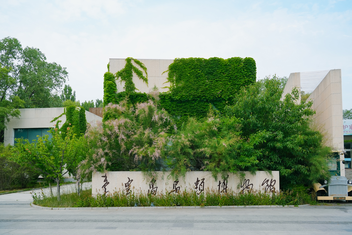 山东学医选择哪些院校？附院校推荐及选择指南