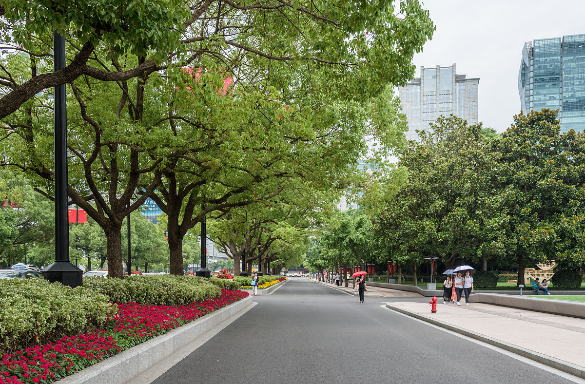 写一篇推进上海市绿化市容系统政治监督具体化、精准化、常态化的调研题纲