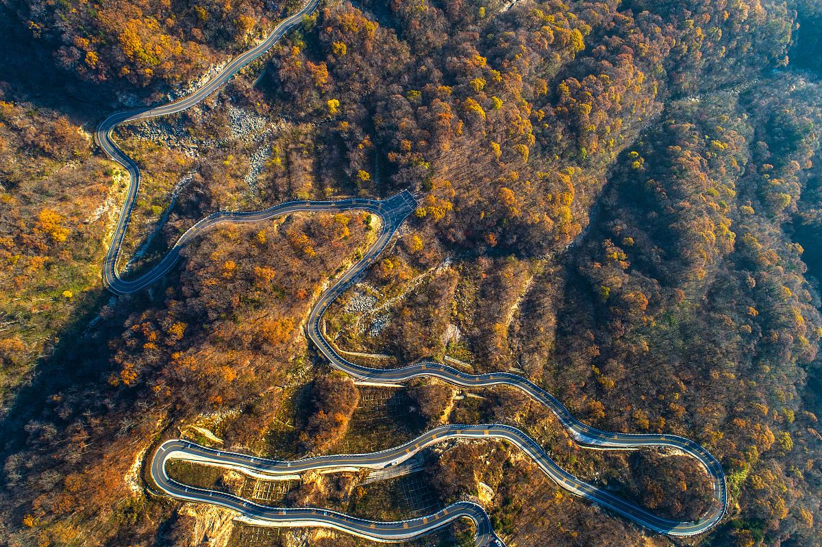 安徽金寨职业学校2021年招生简章