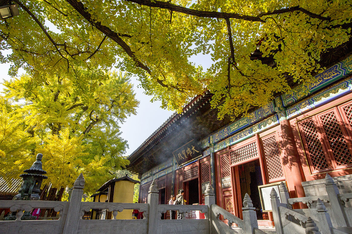 2023年哪些大专学校开设导游专业？