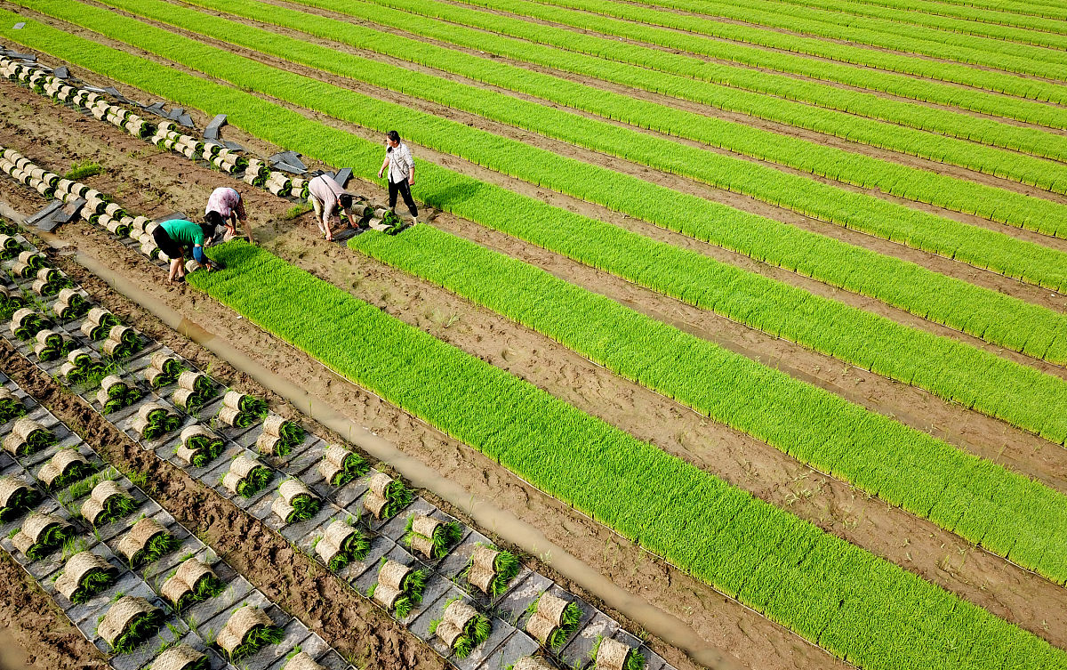“绿色发展”背景下农民就业问题研究--以大理市为例
选题主要在写谁